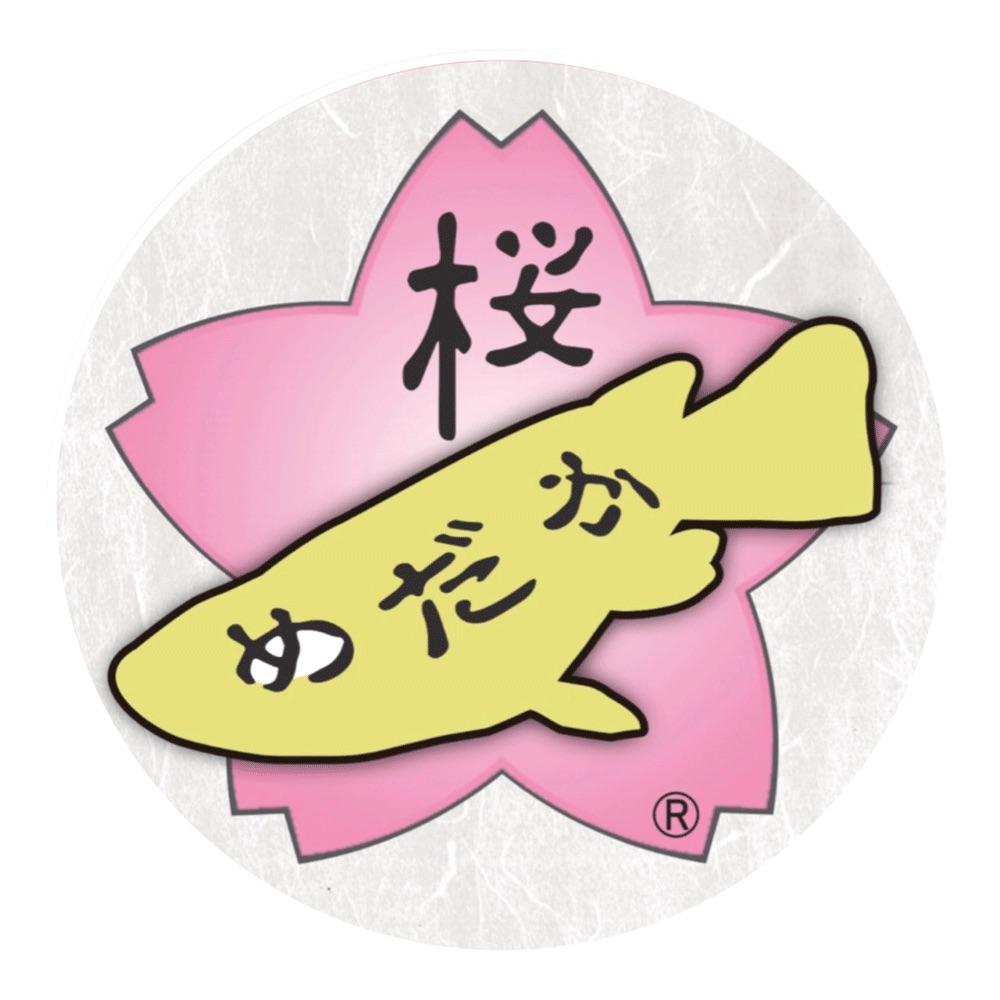 桜めだか